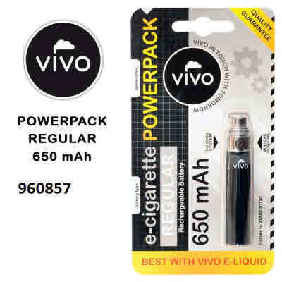 Vivo Power Pack Quick Akku